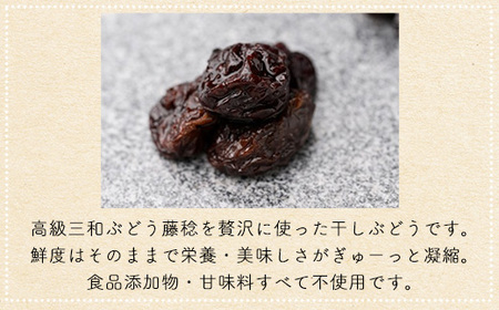 京都三和・丹波ぶどうほしぶどう 藤稔 ドライ(100g×3パック) ふるさと納税 福知山市 ドライフルーツ ほしぶどう 干しブドウ レーズン ドライレーズン 三和ぶどう ふじみのり 藤稔 100g 3パック 手作り 三和町 特産 丹波 【fc-CO004】【株式会社横田石材(丹波ほっこり農園)】