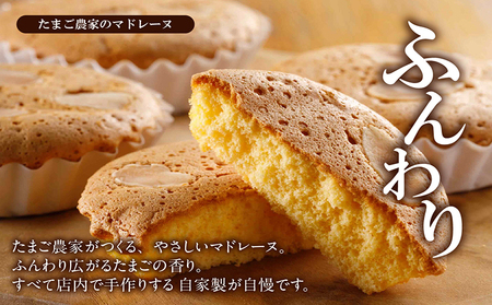 ココテラスの焼き菓子盛り合わせセット カステラ マドレーヌ クッキー たまごたっぷり カステラ 焼き菓子 和菓子 洋菓子 こだわりスイーツ 贈答用 贈り物 スイーツ ギフト 個包装 詰合せ お土産 手土産 デイリーファーム ココテラス 卵 おやつ お菓子 お取り寄せ 愛知県 常滑市