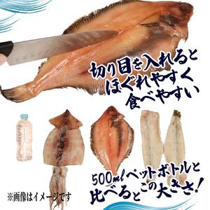 海の幸セット A-3 【ギスの塩干し2～3枚､干しカレイ 3～4枚､スルメイカ一夜干し 2枚､イカの塩辛 1パック】 冷凍 焼くだけ 簡単 いか ぽっぽ焼き ギス 干物 カレイ 一夜干し 焼き魚 魚 海産物 塩辛 煮物 焼き物 おかず ご飯 晩ごはん