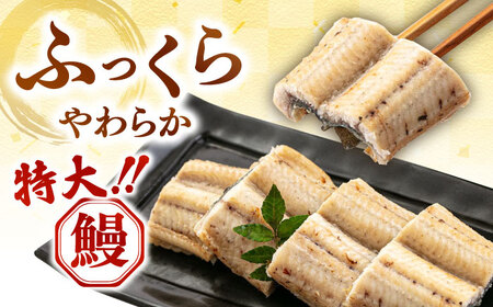 鹿児島県産 特上うなぎ 白焼き 2尾 [ADAH009] 白焼き