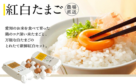ココテラスの新鮮な卵とお菓子の堪能セット カステラ マドレーヌ クッキー マヨネーズ 醤油 たまご専用醤油 調味料 料理 赤卵 白卵 タマゴ 卵 鶏卵 焼き菓子 洋菓子 グルメ スイーツ お取り寄せ 詰め合わせ ギフト 贈り物 プレゼント 愛知県 常滑市