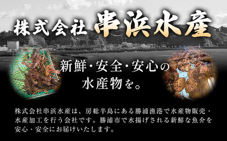 【刺身OK】千葉県勝浦産 生冷活〆 天然伊勢海老 3kg 6-11尾入 株式会社串浜水産《90日以内に出荷予定(土日祝除く)》【配送不可地域あり】（離島）【1506779】| 伊勢海老 伊勢海老 伊勢海老