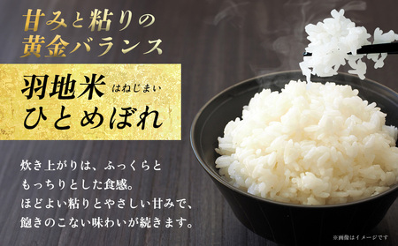 米 沖縄 令和8年産 羽地米(ひとめぼれ) 5kg 名護