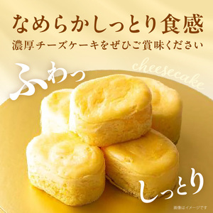 蒸焼チーズ　１０個入[120A06] チーズケーキ 冷凍 愛知県 小牧市 アンプチベアやぐま