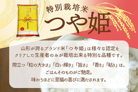 【6か月定期便】庄内米 特別栽培米 つや姫 無洗米 5kg 毎月 5kg×1袋 令和7年産 / 令和8年産 ブランド米 米 山形 庄内平野 コシヒカリの原点、亀の尾発祥の地 庄内 お米の定期便【7月下旬発送/入金期限：2026年6月25日】
