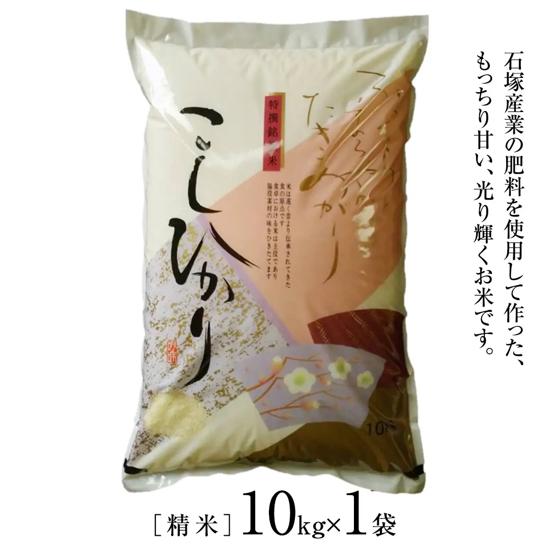 【令和7年産】 コシヒカリ 精米10kg（10kg×1袋）（茨城県共通返礼品 かすみがうら市産） 米 ごはん もっちり 甘い コメ お米 白米 銘柄米[EX002sa]