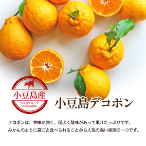 【 小豆島 】小豆島 デコポン 約2.8kg 柑橘 デコポン 不知火 果物 フルーツ 国産 くだもの さっぱり 国産 香川 香川県 土庄 土庄町