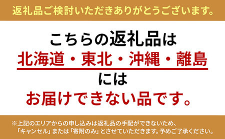 【 小豆島 】小豆島のオリーブ苗木 2本セット（中） 植物 観葉植物 インテリア オリーブ 苗木 香川 香川県 土庄 土庄町
