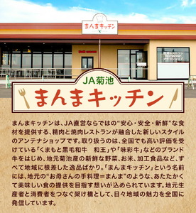 味彩牛 ヒレ ステーキ 約120g×2枚 計240g 菊池地域農業協同組合(JA菊池まんまキッチン)《90日以内に出荷予定(土日祝除く)》熊本県 菊池市 牛肉 お肉 熊本県産 九州産 国産 冷凍 送料無料
