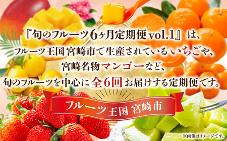 《2027年発送先行予約》【数量・期間限定】旬のフルーツ6ヶ月定期便vol.1 くだもの 果物 定期便 フルーツ 期間限定 宮崎 マンゴー