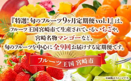 【数量・期間限定】特選！旬のフルーツ9ヶ月定期便vol.1 旬 フルーツ 果物 定期便 くだもの いちご マンゴー 金柑