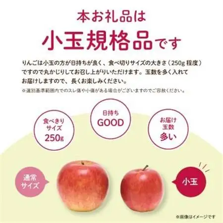 【先行受付】JA中野市 「サンふじ」ご家庭用 訳あり「小玉」 5kg以上(18～23玉入)【1526204】