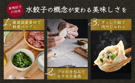 餃子 水餃子 巣鴨餃子 手作りもちもち水餃子 4袋 48個 清緑園 ぎょうざ ギョウザ もちもち 冷凍餃子 国産素材 お取り寄せ ギフト 冷凍 中華料理 おつまみ おかず 総菜 