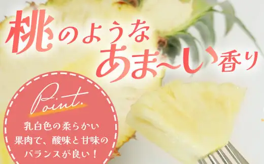 【先行予約】石垣島産 ピーチパイン 3玉 約2.7・