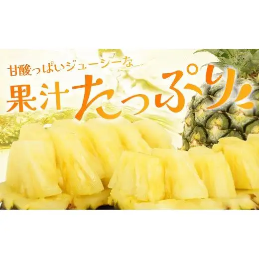 【先行予約】石垣島産 ハワイ種パイン 3～4玉セット 約4.2㎏　TD-7
