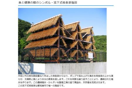 美浜の塩特産品詰め合わせ "健やか" 〇