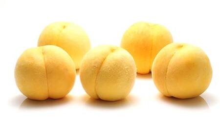 《2026年先行予約》山形県産 一度は食べてみたい！黄桃（有袋・無袋） 約3kg（7～12玉） 桃 もも フルーツ 果物 くだもの 山形県 中山町 F4A-0432