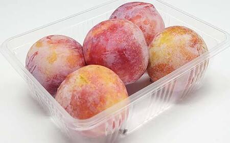 《2026年先行予約》 山形県産 栄養満点★すもも「秋姫」 約2kg（500g×4パック） L～3Lサイズ フルーツ 果物 くだもの 山形県 中山町 F4A-0433