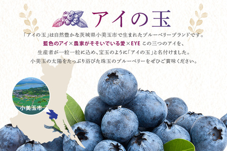 《数量限定・期間限定》 【アイの玉】毎日！朝摘み生ブルーベリー(2L) 数量限定 期間限定 ブルーベリー フルーツ 果物 くだもの 冷蔵 大粒 新鮮 生果 国産 73-A 【2026年6月15日より順次発送予定・7月31日に受付終了】