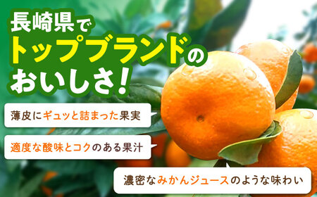 ※【2026年11月より順次発送／先行予約】伊木力温州早生みかん10kg(ご家庭用、箱入り) / みかん 温州みかん 柑橘 蜜柑 ミカン 果物 / 諫早市 / 末永果樹園 [AHBD002]