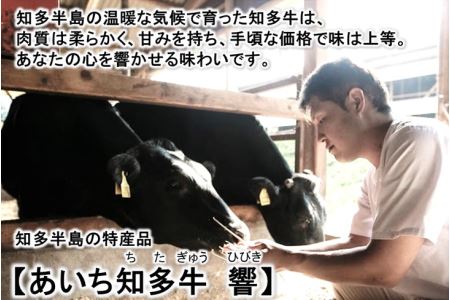 知多牛 高級4等級 【サーロインステーキ】250g4枚 ※北海道・沖縄・離島への配送不可