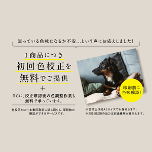 オリジナルキャンバス印刷（ジクレー印刷）P12号