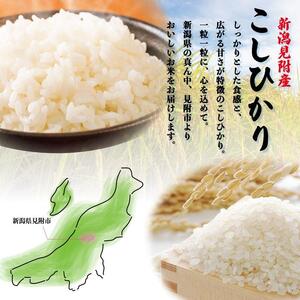 〈4～7営業日で発送〉令和7年産 新潟見附市産コシヒカリ5kg