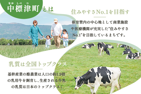 中標津町への応援寄附 100,000円(返礼品なし)【10008】
