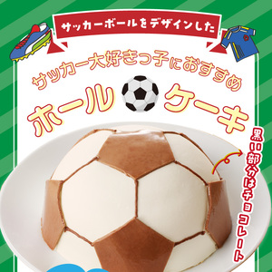 【いちごのバースデーケーキ】サッカーボールケーキ　スイーツ デザート 洋菓子 お取り寄せ 愛知県 小牧市 送料無料 誕生日ケーキ クリスマス お祝い デザイン デコレーションケーキ 日時指定可[125L03]
