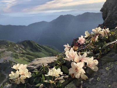林恭子ガイドと行く！登山ツアー 春・夏・秋篇 [h293]