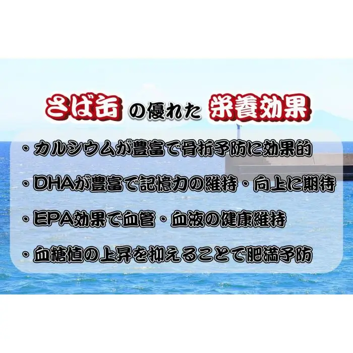 佐渡産 さば いわし 缶詰 水煮 味噌煮 6缶セット