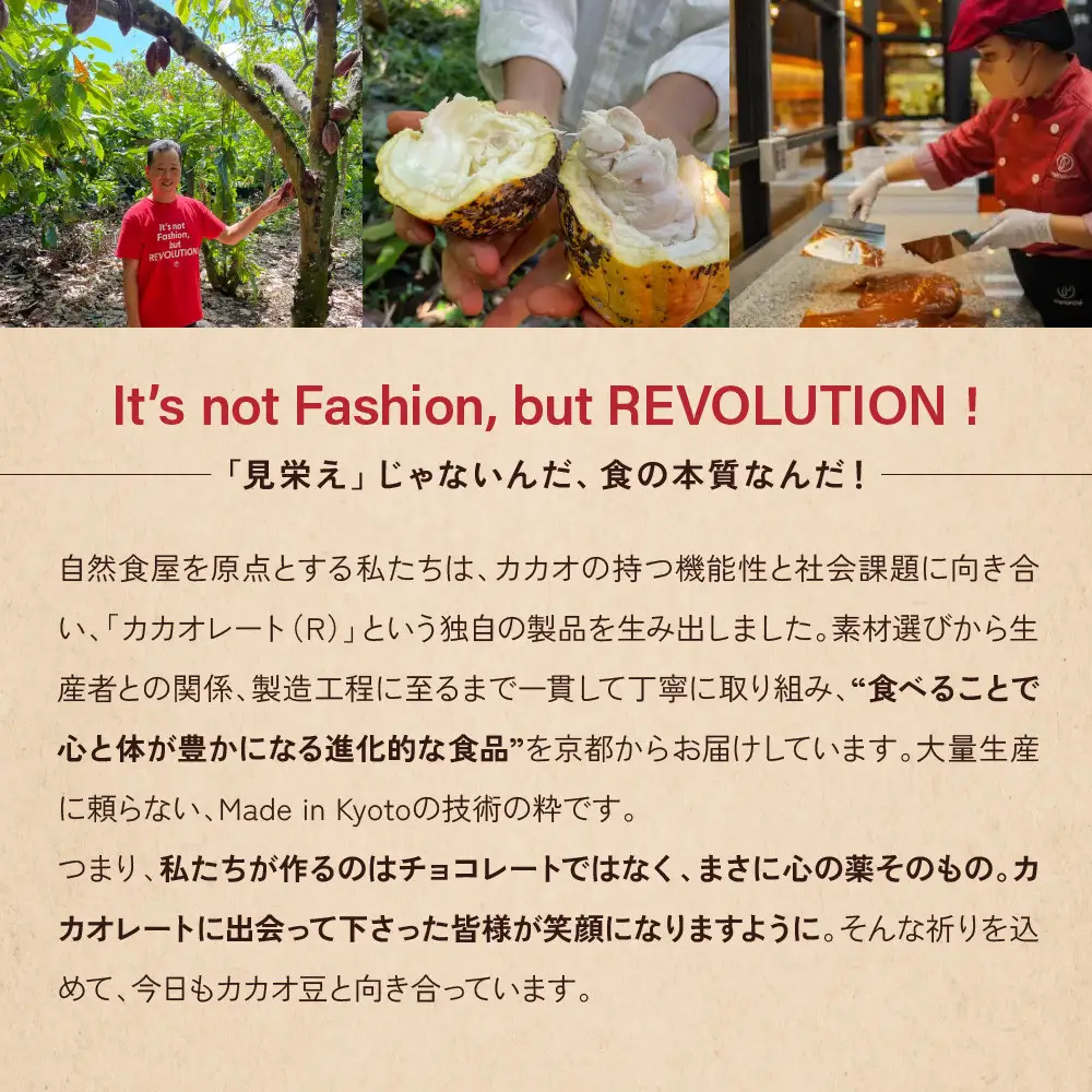 【Premarché Cacaolate Lab】国際コンテスト入賞店の手づくりチョコレート 産地食べ比べ6枚セット ＜セットA＞