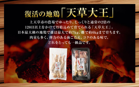 天草大王プレミアムバーベキューセット（小） 計6パック 天草大王 焼鳥 モモ ムネ 皮 手羽先 串