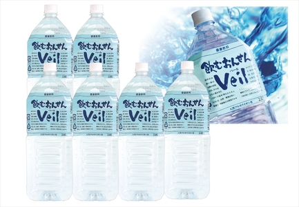 【定期便3ヶ月】飲むおんせんベール2L×6本入【2箱セット】【 温泉水 温泉純度100％ 保存水 防災 神奈川県 山北町 】