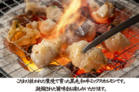 【自社農場和牛】黒毛和牛ミックスホルモン 1kg（500g×2P 国産 牛肉 黒毛和牛 ホルモン 焼肉 BBQ 冷凍） 焼肉 和牛焼肉 牛肉焼肉 ホルモン焼肉 国産焼肉