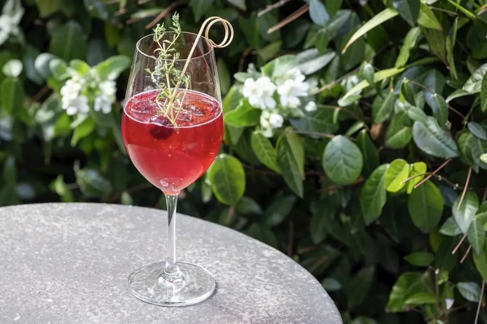 【MR.MAURICE’S ITALIAN （エースホテル京都）】ペアランチまたはディナー食事券≪乾杯ドリンク付≫ 