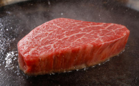 【全12回定期便】長崎和牛A5等級 シャトーブリアン 120g×9枚 総量108枚 12.96kg 【田中精肉店】シャトーブリアン ヒレ フィレ ステーキ 赤身 和牛 黒毛和牛 牛肉 希少部位