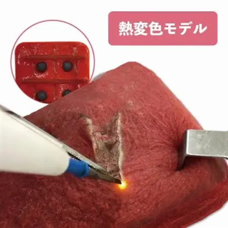 手術トレーニング用模擬臓器「VTT RBCタイプ」【1406091】