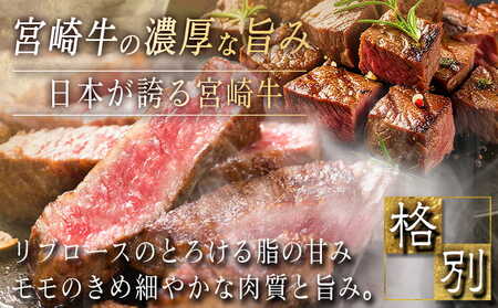 宮崎牛モモ・リブロースステーキ1.2kgセット_AD-2510_(都城市) 都城産 宮崎牛 モモ 100g サイコロステーキ 200g リブロースステーキ 300g 塩こしょう ステーキソース付