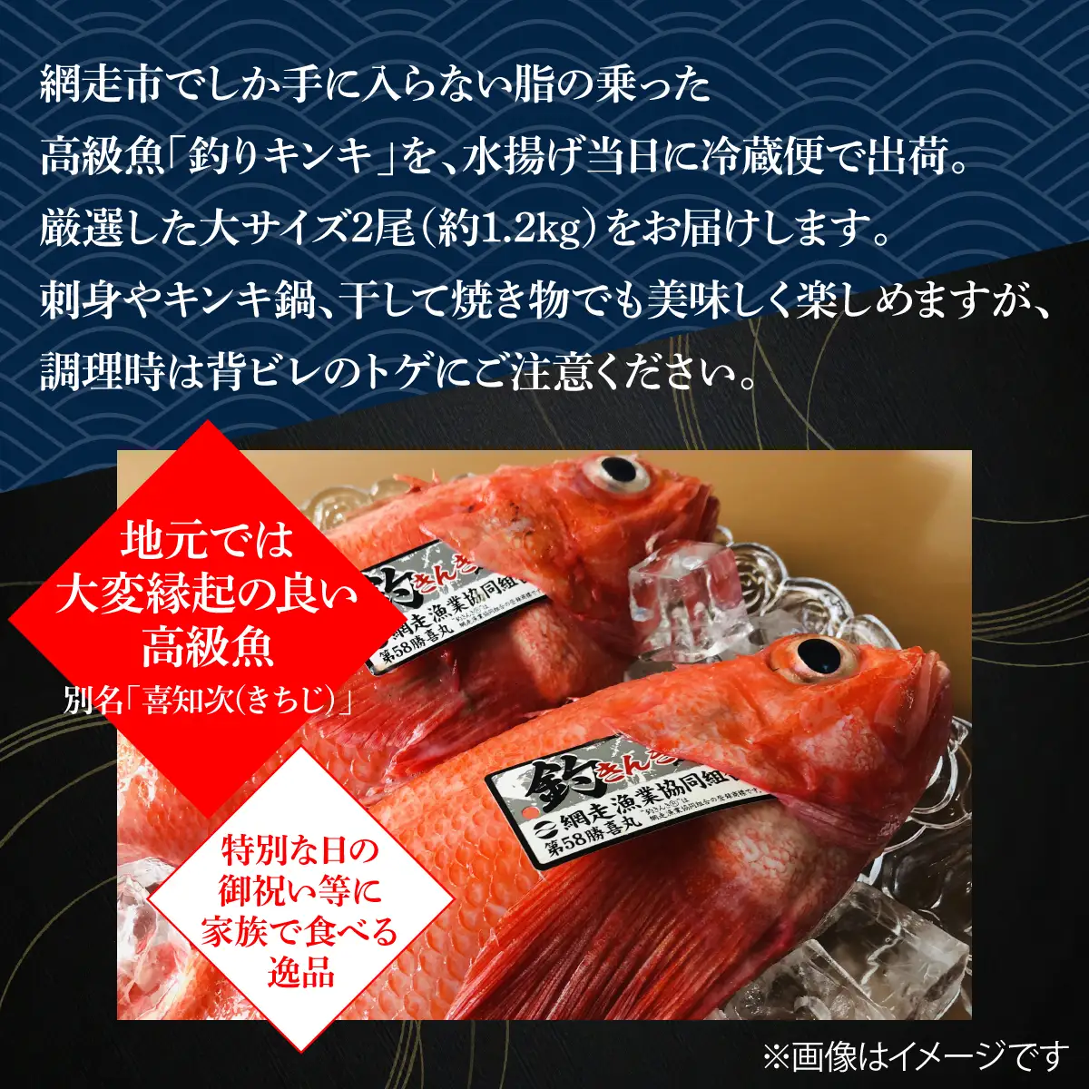 【先行予約】【冷蔵届け】網走産釣きんき【2尾で約1.2kg】（2026年4月中旬頃～11月下旬頃発送） ABAO074