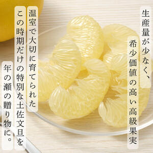 【先行予約】厳選 温室土佐文旦  大玉 2玉 〈贈答用木箱入り〉約600g×2個〈2026年12月上旬から発送〉 /ぶんたん ブンタン フルーツ 柑橘 みかん 果物 くだもの 土佐文旦の藤岡 旬 プレゼント ギフト 贈答 贈り物【土佐文旦の藤岡】 [BQBJ003]