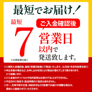 スーツケース 最短 7日以内配送 Brush 北海道 カラーパレット ハード 34L CABIN_No.5801177 美瑛ブルー キャリーケース 旅 キャリー かばん バッグ 国産 日本製 北海道 赤平市