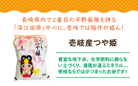【全2回定期便】壱岐産 つや姫 5kg《壱岐市》【壱岐市農業協同組合】米 お米 ごはん 甘み 旨味 [JBO135] 九州
