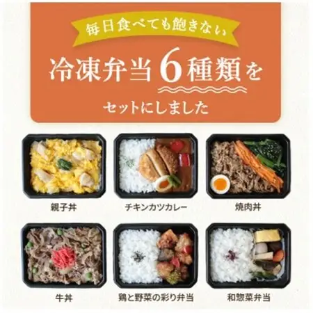 お試し　冷凍弁当　6種セット_惣菜・加工品   _【配送不可地域：離島】【1514690】