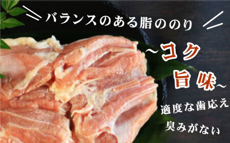 地鶏 愛媛 媛っこ地鶏 もも肉 約4kg 