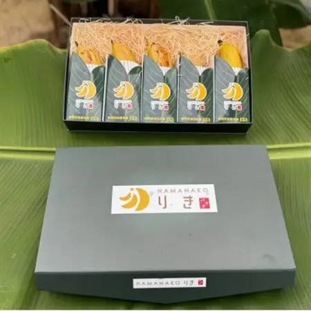 HAMANAKO　りき　バナナ 箱入り 5本(各160~190g)_果物・フルーツ   くだもの_【配送不可地域：離島】【1525861】