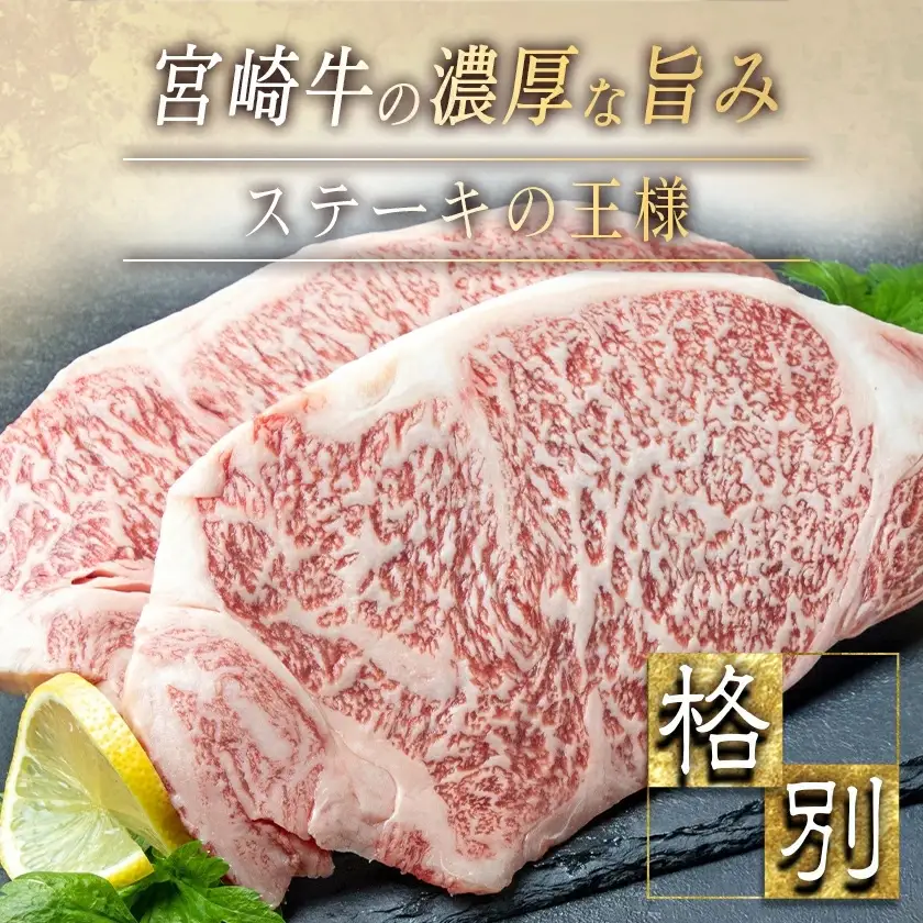 宮崎牛サーロインステーキ200g×2〔18-2501〕_(都城市) 都城産宮崎牛 サーロインステーキ 200g×2枚 塩コショー・ステーキソース付き