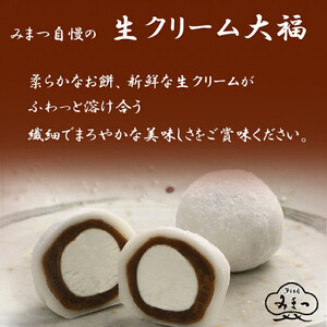 みまつの生大福詰め合わせ　20個セット