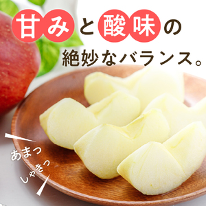 【先行予約】 令和8年産 舘山りんご 品種おまかせ 約5kg 16玉 ～ 20玉