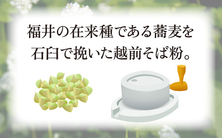 越前生そば 14食入（110g/1食）だし付 [A-067003] / そば そば
